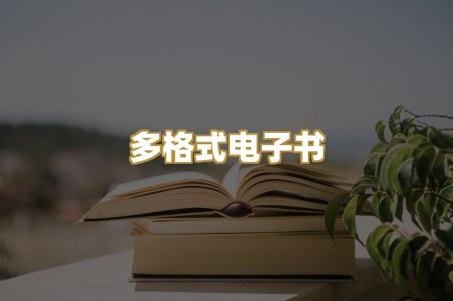 多格式电子书